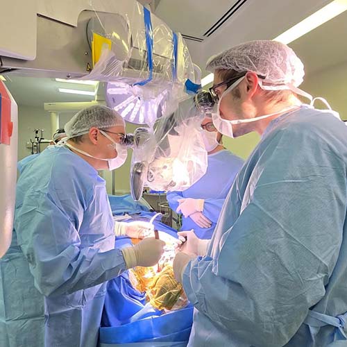 dr robert meves zeiss treinamento 500x500 01